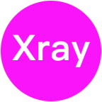 Xray 脚本及教程